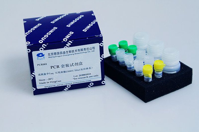 化学试剂在上海：科研创新的新引擎